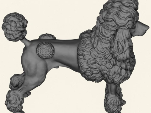 Poodle Dog 3D Print Model