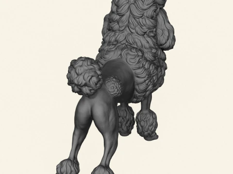 Poodle Dog 3D Print Model