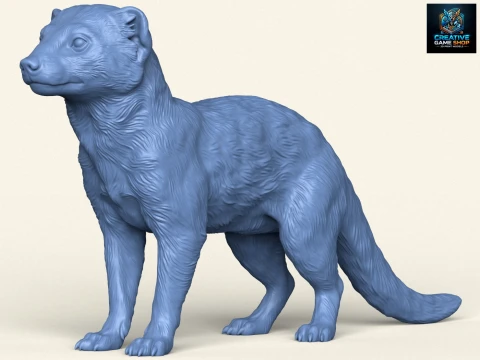野生猫鼬 3D 打印模型