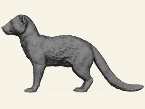 野生のマングース 3Dプリントモデル