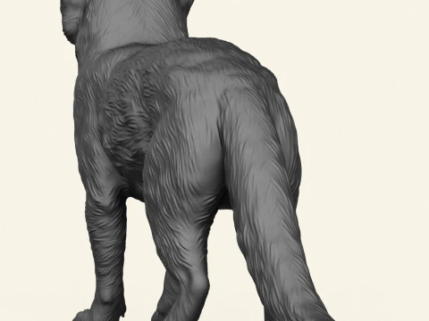 野生のマングース 3Dプリントモデル