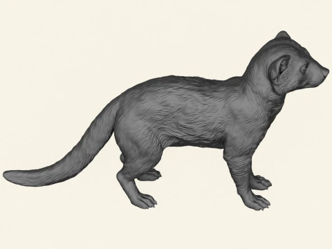 野生のマングース 3Dプリントモデル