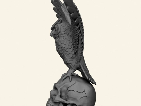 Owl On Skull Sculpture 3D Print Model