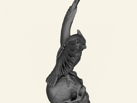 Owl On Skull Sculpture 3D Print Model