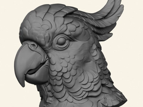 Cockatoo Parrot Bust 3D Print Model