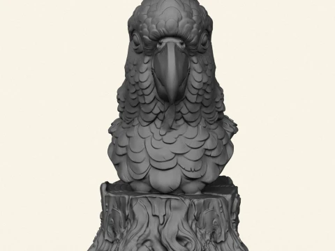 Cockatoo Parrot Bust 3D Print Model