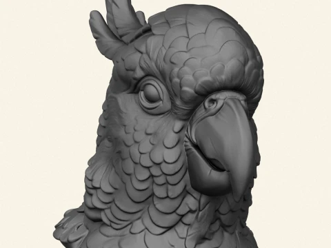 Cockatoo Parrot Bust 3D Print Model