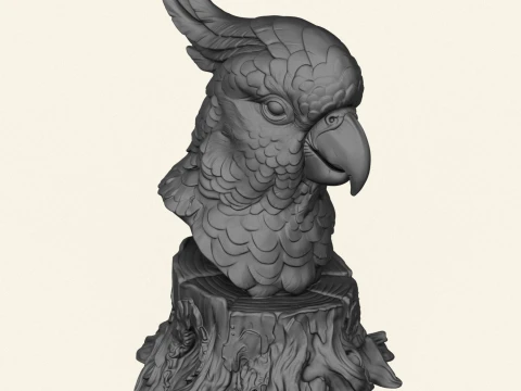 Cockatoo Parrot Bust 3D Print Model