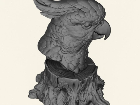 Cockatoo Parrot Bust 3D Print Model