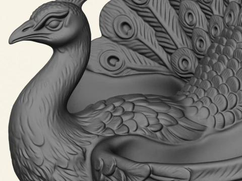 Stylish Peacock Object Holder 3D Print Model