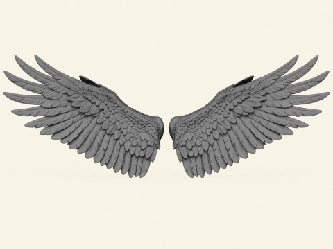 Bird Wings Print Ready 3D Print Model