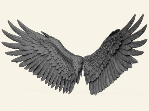 Bird Wings Print Ready 3D Print Model