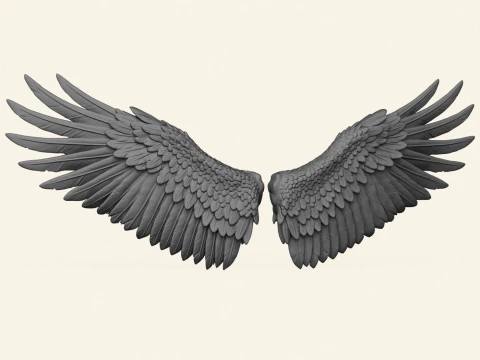 Bird Wings Print Ready 3D Print Model