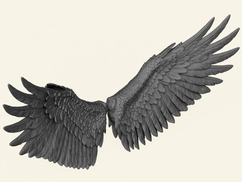Bird Wings Print Ready 3D Print Model