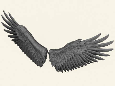 Bird Wings Print Ready 3D Print Model