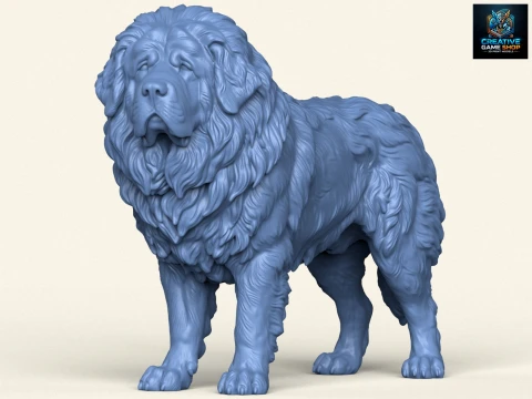 Tibetan Bullmastiff Dog 3D प्रिंट मॉडल