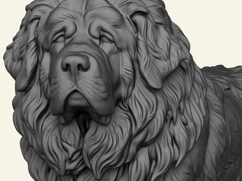 Tibetan Bullmastiff Dog 3D Print Model