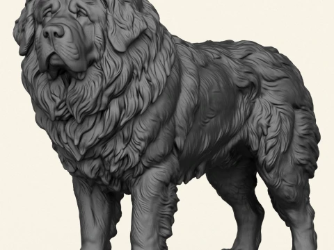 Tibetan Bullmastiff Dog 3D Print Model