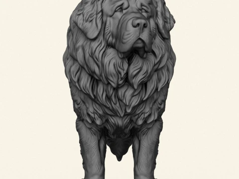 Tibetan Bullmastiff Dog 3D Print Model