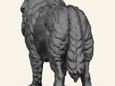 Tibetan Bullmastiff Dog 3D Print Model