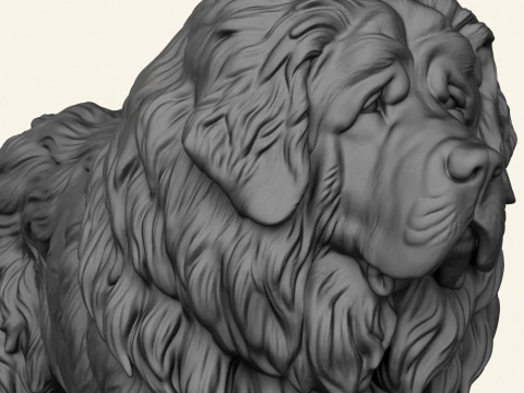 Tibetan Bullmastiff Dog 3D Print Model