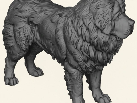 Tibetan Bullmastiff Dog 3D Print Model
