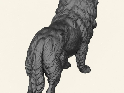Tibetan Bullmastiff Dog 3D Print Model