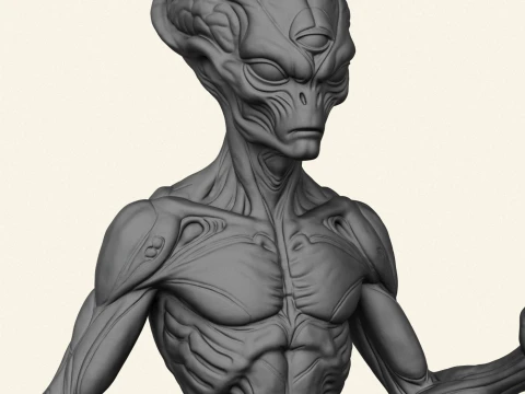 Alien Humanoid Character 3D Print Model