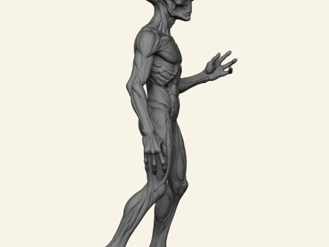 Alien Humanoid Character 3D Print Model