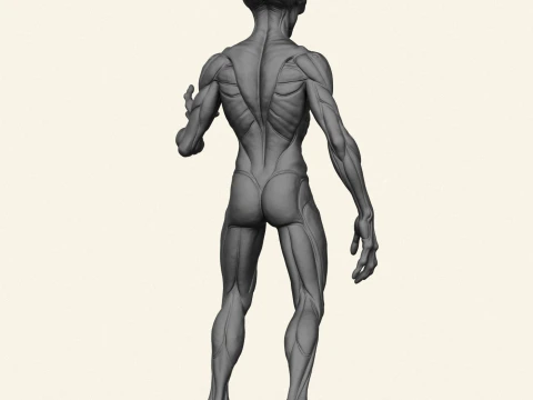 Alien Humanoid Character 3D Print Model