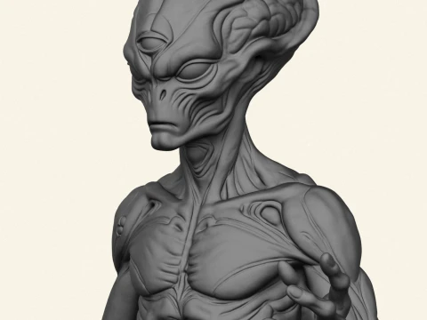 Alien Humanoid Character 3D Print Model