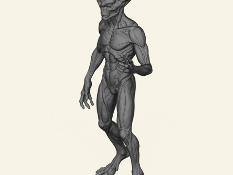 Alien Humanoid Character 3D Print Model