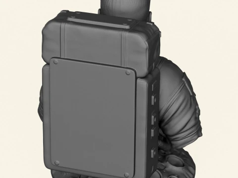 Astronaut Neil Armstrong Bust 3D Print Model