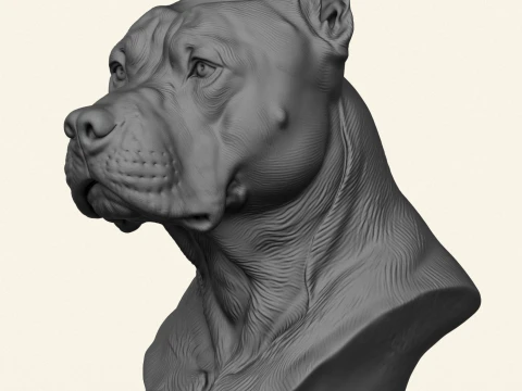 Pitbull Dog Head Object Holder 3D Print Model
