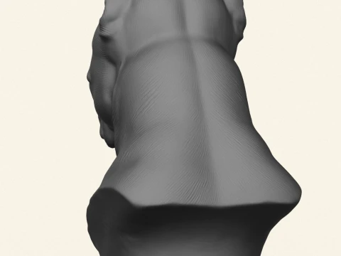 Pitbull Dog Head Object Holder 3D Print Model