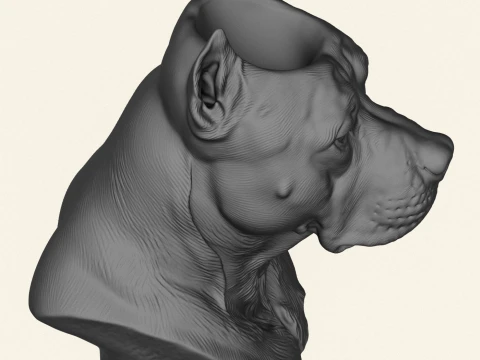 Pitbull Dog Head Object Holder 3D Print Model