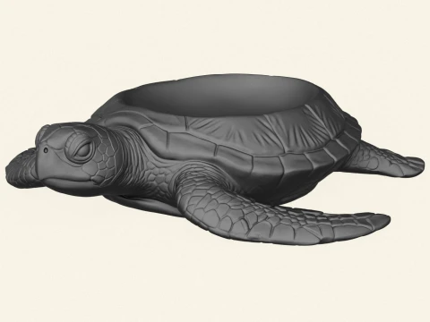 Stylish Tortoise Object Holder 3D Print Model