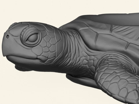 Stylish Tortoise Object Holder 3D Print Model