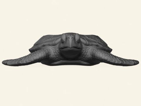 Stylish Tortoise Object Holder 3D Print Model