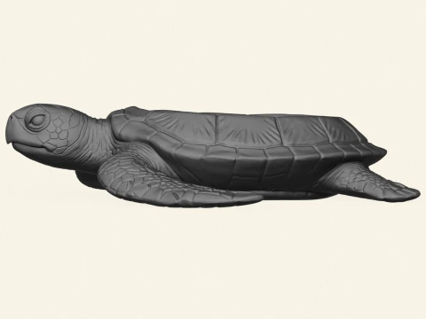 Stylish Tortoise Object Holder 3D Print Model