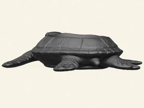 Stylish Tortoise Object Holder 3D Print Model