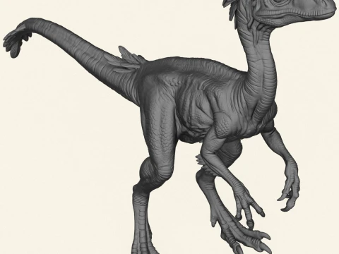 Compsognathus Dinosaur 3D Print Model