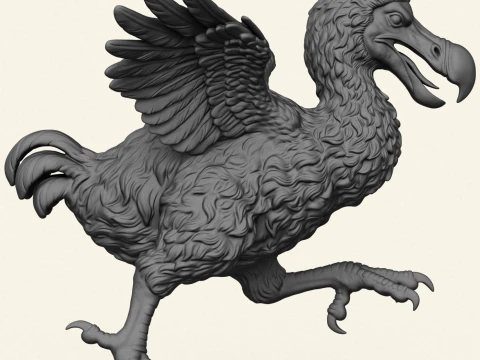 Dodo Bird Running 3D Print Model