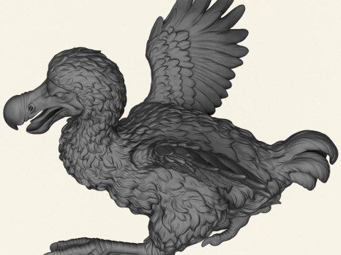 Dodo Bird Running 3D Print Model
