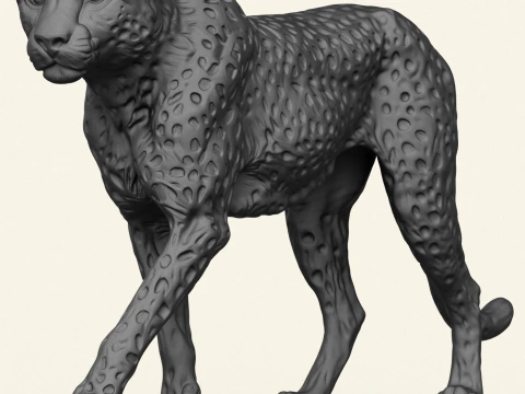 Wild Cheetah 3D Print Model