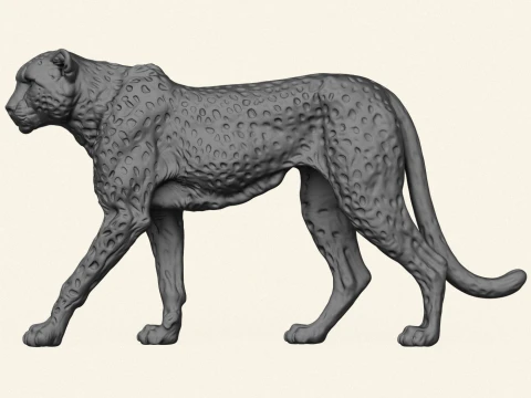 Wild Cheetah 3D Print Model