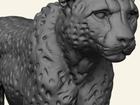 Wild Cheetah 3D Print Model