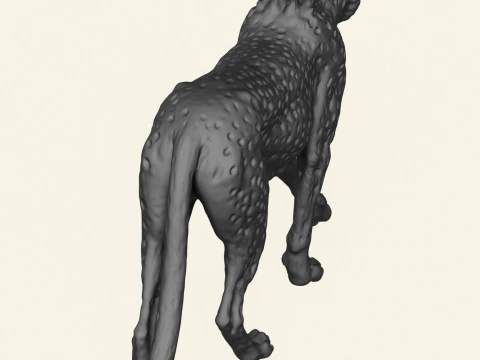 Wild Cheetah 3D Print Model