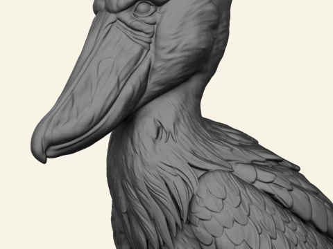 Shoebill Bird 3D Print Model