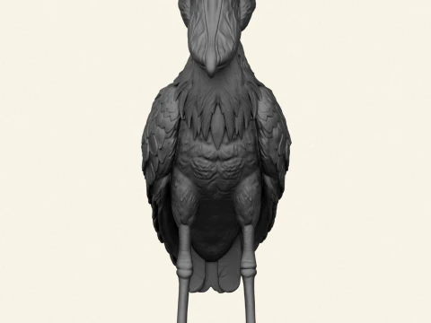 Shoebill Bird 3D Print Model